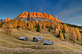 Alpine meadows and mountain pastures with larch trees colored in autumn in front of Heiligkreuzkofel in Alpenglühen, Heiligkreuzkofel, Gadertal, Dolomites, Dolomites UNESCO World Natural Heritage Site, South Tyrol, Italy