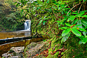 Geroldsau Waterfall, Baden-Baden, Black Forest National Park, Black Forest, Baden-Württemberg, Germany