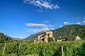Burg Sarriod de la Tour im Aostatal, Aosta, Italien