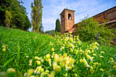 Springtime at the Abbazia di Vezzolano, Piedmont, Italy, Europe