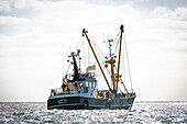 Shrimp cutter in front of Helgoland, Heligoland, Insel, Schleswig-Holstein, Germany