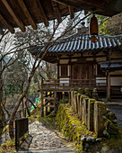 Arashiyama; japan; kyoto; ttemple; forest; outdoor; travel; explore;