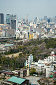 Blick auf Millionenstadt Osaka, Japan, Asien
