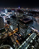 Blick auf Wolkenkratzer und Regierungsgebäude der Metropole Tokio bei Nacht, Japan, Asien