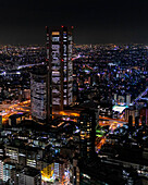 Blick auf Wolkenkratzer und Regierungsgebäude der Metropole Tokio bei Nacht, Japan, Asien