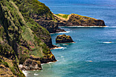 In the east of the Portuguese island of Flores you will find steep cliffs of lava rocks
