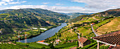 Panorama-Aussicht auf das Douro-Tal und Weinregion Alto Douro im Norden von Portugal