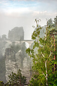 View of the Bastei in the morning fog, Saxon Switzerland, Saxony, Germany