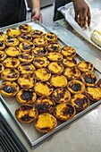 Fertige Pasteis de Nata -portugiesischen Puddingtörtchen