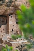 Cliff Palace,Mesa Verde National Park,Unesco World Heritage Site,Colorado,Usa,America.