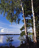 Suwalski region. Serwy lake. Poland.