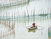 China, Xiapu-Fischerei.