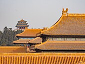 China, Peking, Verbotene Stadt.
