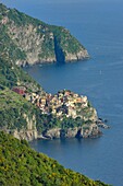 Italy,Liguria,Cinque Terre National Park,World Heritage Site,Manarola from above.