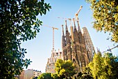 BARCELONA,SPAIN - November 24,2018: La Sagrada Familia's construction in progress. It is on the part of UNESCO World Heritage site by an artist Antoni Gaudi.