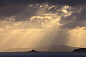 Lichtstrahlen über dem Leuchtturm von Godrevy, aufgenommen kurz nach Sonnenaufgang mit einem Teleobjektiv vom Malakoff in St. Ives in Cornwall.