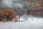 A fisherman near the north end of Crummock Water in the Lake District National Park,captured using a telephoto lens on a still misty morning in late October.