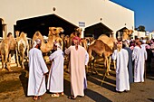Sultanat Oman, Region Al Sharqiya, Sinaw, Markttag, Beduinenfrauen und -männer.