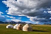 Kyrgyzstan,Naryn province,Song Kol lake,Kirghiz nomad's yurt camp.