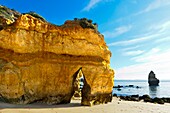 Gelb-goldene Felsen am Strand von Camilo, Praia do Camilo, Lagos, Algarve, Portugal.
