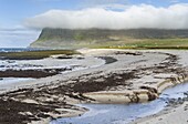 Strand bei Hvallatur. Die abgelegenen Westfjorde (Vestfirdir) im Nordwesten Islands. Europa, Skandinavien, Island.
