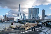 Erasmus bridge and skyscrapers,Rotterdam,South Holland,Netherlands.