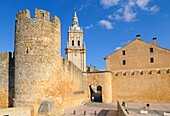 Door of the wall and Cathedral of Burgo de Osma. Soria province. Castilla y Leon. Spain