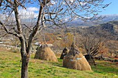 Heuhaufen. Navalosa. Gredos-Gebirge. Provinz Ávila. Kastilien und León. Spanien