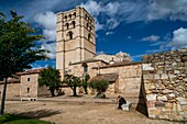 Cathedral of Zamora,Castile and Leon,Spain.