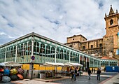 Oviedo,Asturias,Spain.