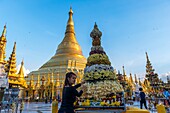 Myanmar (früher Burma). Rangun. (Rangoon). Die buddhistische Shwedagon-Pagode ist das erste religiöse Zentrum Burmas, da sie der Legende nach Relikte von vier alten Buddhas enthält, darunter acht Haare des Gautama-Buddha. Frau, die Angebote macht