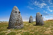 Die prähistorischen nuragischen konischen Steinbetyle, die die weibliche Fruchtbarkeit mit 2 kleinen geschnitzten Brüsten darstellen, wahrscheinlich nuragische heilige Steine, der prähistorische nuragische Komplex von Tamuli, Macomer, Sardinien.
