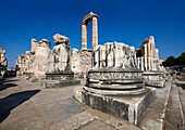 Lonische Säulen der Ruinen des antiken ionischen griechischen Apollo-Tempels Didyma, in dem sich das Orakel des Apollo befindet. Auch bekannt als das Didymaion, fertiggestellt um 550 v. Chr. Das moderne Didim in der Provinz Aydin, Türkei.