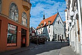 Architektur der Altstadt, Tallinn, Estland, Baltikum.