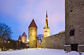 Winterabend an der Stadtmauer in der Altstadt von Tallinn, Estland. Der Kirchturm von St. Olaf in der Ferne.