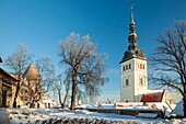 Wintermorgen in der Altstadt von Tallinn, Estland. Kirchturm St. Nikolaus.