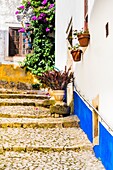Gepflasterte Treppe mit Kopfsteinpflaster mit Blumentöpfen, Obidos, Portugal.