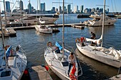 Marina,battery park area,world financial center and skyscrapers,financial district,Manhattan,New York,Usa,America. World Financial Center office buildings in the financial district of Manhattan. Brookfield Place North Cove Marina and Sailing Club,Battery Park City,NYC,USA.