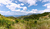 Ginster, Berglandschaft und Küstenpanorama an der Bay Marathokampos an der Südwestküste der Insel Samos in Griechenland