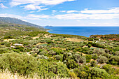 Aussichtspunkt bei Pirgos mit Blick auf die Küstenlandschaft und auf die Insel Samiopoula, Insel Samos in Griechenland