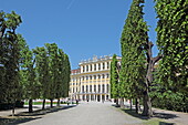 Obeliskenallee im Schlosspark Schönbrunn, Wien, Österreich