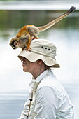 Ein Totenkopfäffchen (Gattung Saimiri) sitzt auf dem Hut einer Touristin, nahe Manaus, Amazonas, Brasilien, Südamerika
