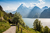 Panorama with lake and mountains, Sisikon, Lake Lucerne, Uri Canton, Switzerland