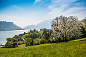 Panorama mit See und Bergen, Kapelle Eggisbühl, hinten Pilatus, Hertenstein, bei Weggis, Vierwaldstättersee, Kanton Luzern, Schweiz