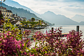 Hotels und Häuser am See, Weggis, Vierwaldstättersee, Kanton Luzern, Schweiz