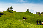 Panorama mit Hütten und Hügeln, hinten Pilatus, Weggis, Vierwaldstättersee, Kanton Luzern, Schweiz