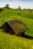 Panorama with huts and hills, Mount Pilatus in the background, Weggis, Lake Lucerne, Lucerne Canton, Switzerland