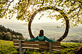 Alte Linde und Kreis aus Ästen, am Michaelskreuz, Sonnenuntergang, bei Küssnacht, Vierwaldstättersee, Kanton Luzern, Schweiz