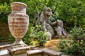The Monster Park (Sacro Bosco) (Villa delle Meraviglie), Bomarzo, Viterbo, Lazio, Italy, Europe