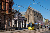 Die Manchester Library und der Petersplatz, Manchester, England, Vereinigtes Königreich, Europa